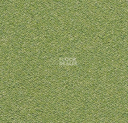 Ковровая плитка Forbo Tessera Chroma 3617 Botanical фото 1 | FLOORDEALER